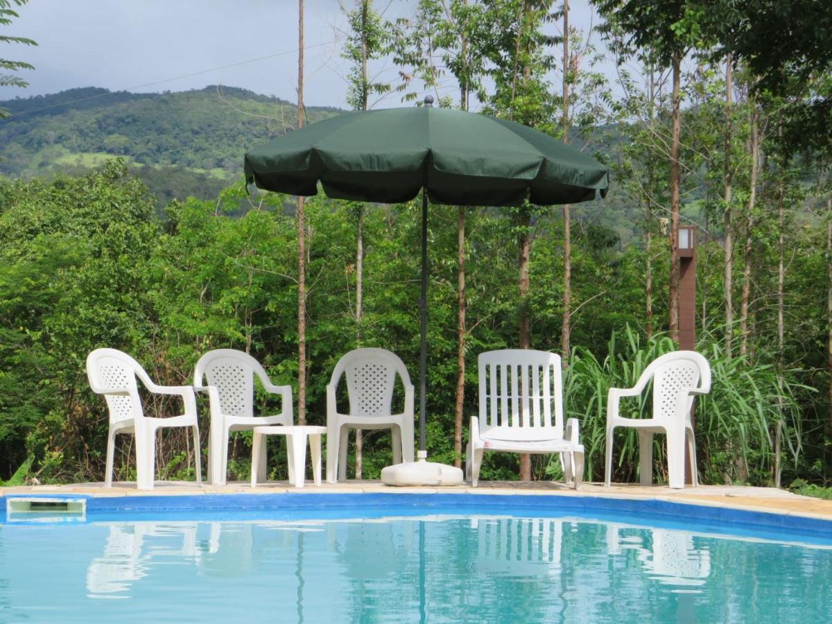 Terra Orgânica - CASA CAJU - home office e lazer para vc e seu pet! Pirenópolis Exterior foto